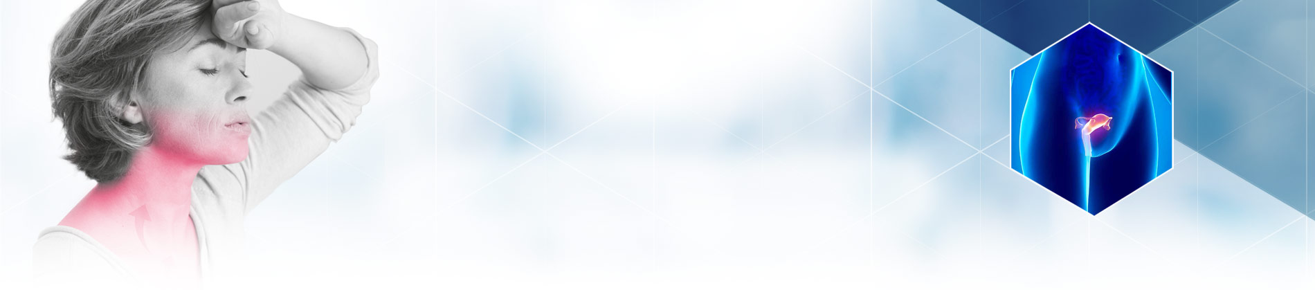 Almetax per il trattamento della menopausa