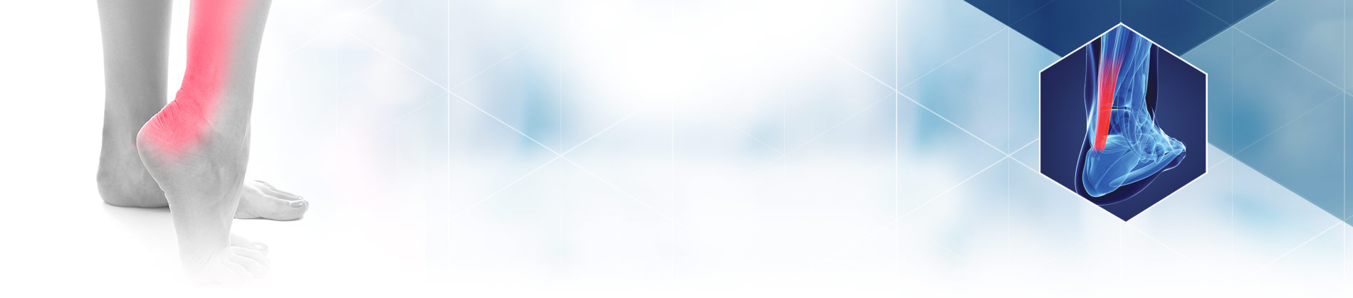 Doltendix Per il benessere dei tendini