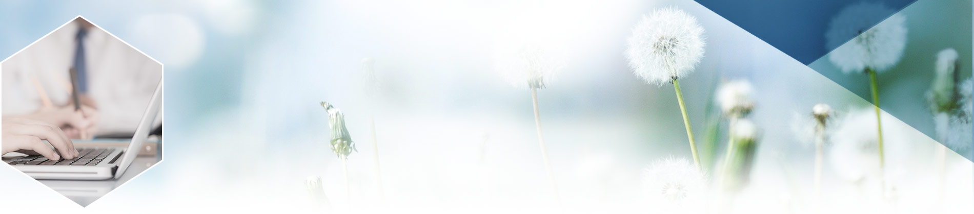 Lavora con kolinpharma