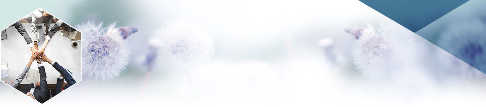 Lavora con kolinpharma