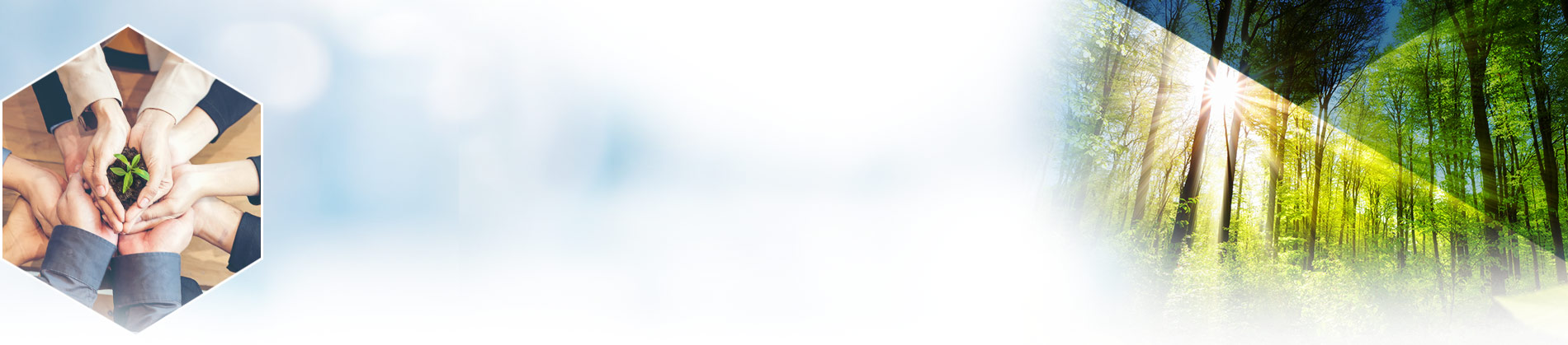 Bilancio di sostenibilità